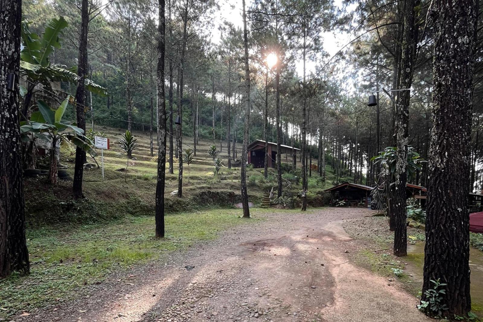 Alas Pacet By Twospaces, Mojokerto Eksteriør billede