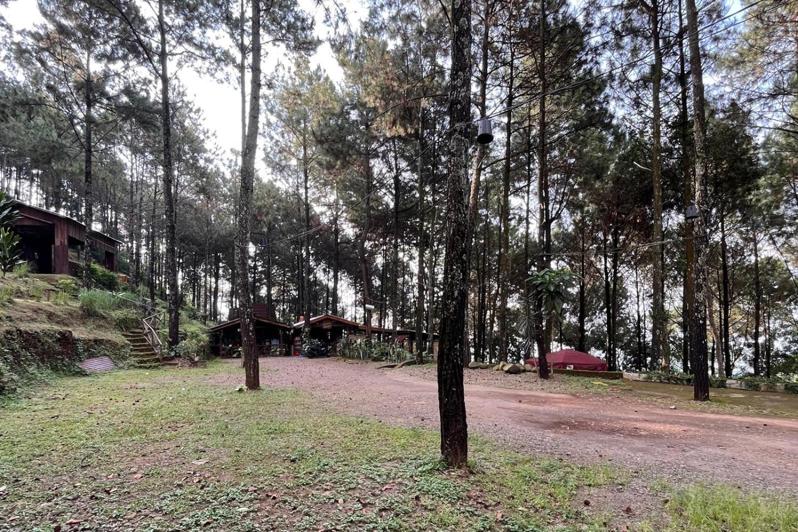 Alas Pacet By Twospaces, Mojokerto Eksteriør billede